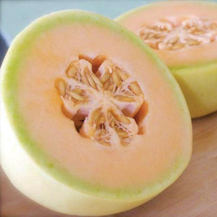 Orange Flesh Honeydew Melon - Team Grow
