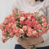Orange Sherbert Carnation - Team Grow