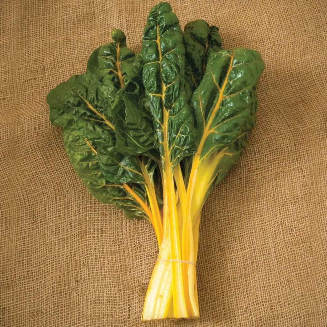 Orange Swiss Chard - Team Grow