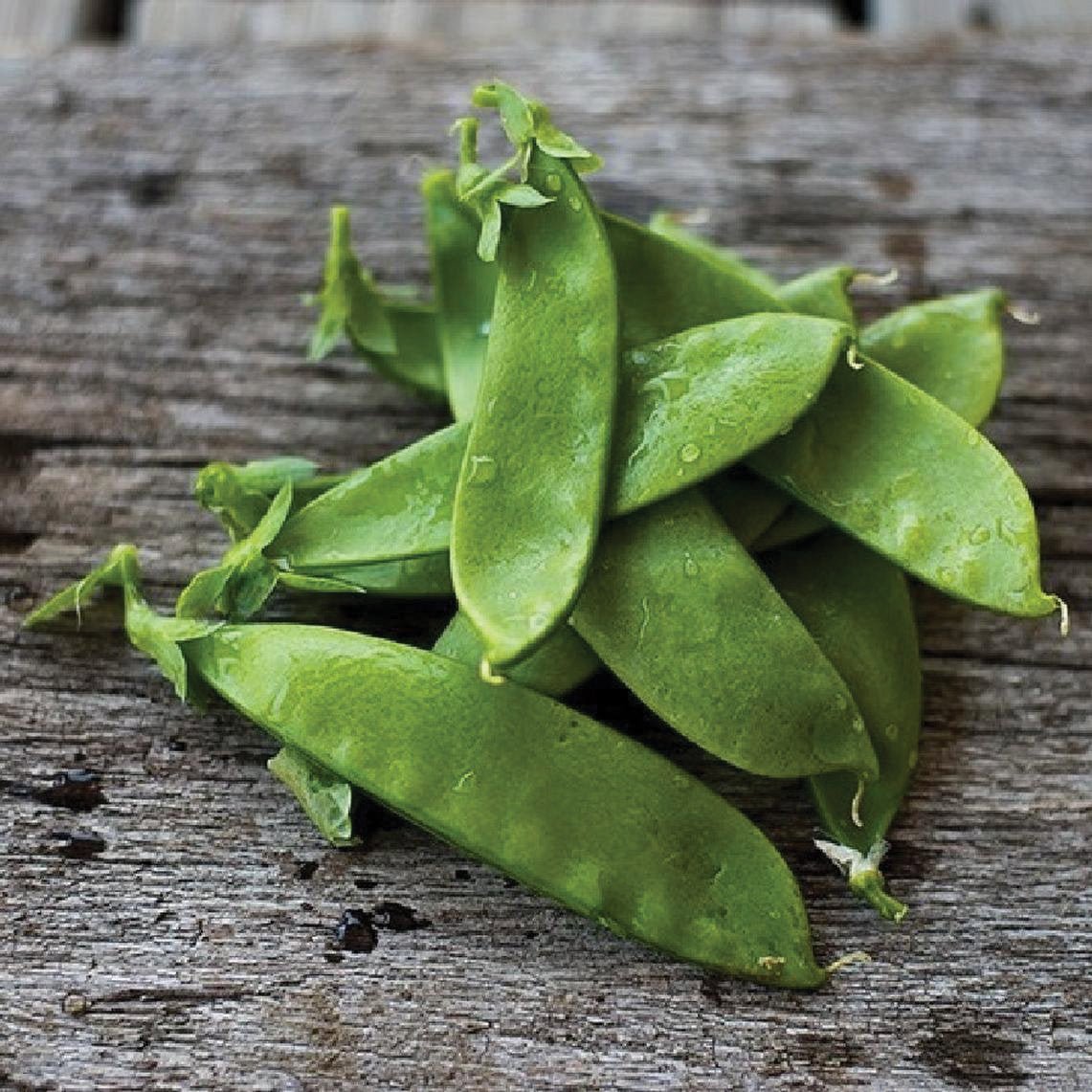 Oregon Giant Pea - Team Grow