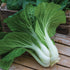 Pak Choi White Stem Cabbage - Team Grow