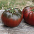Paul Robeson Tomato - Team Grow