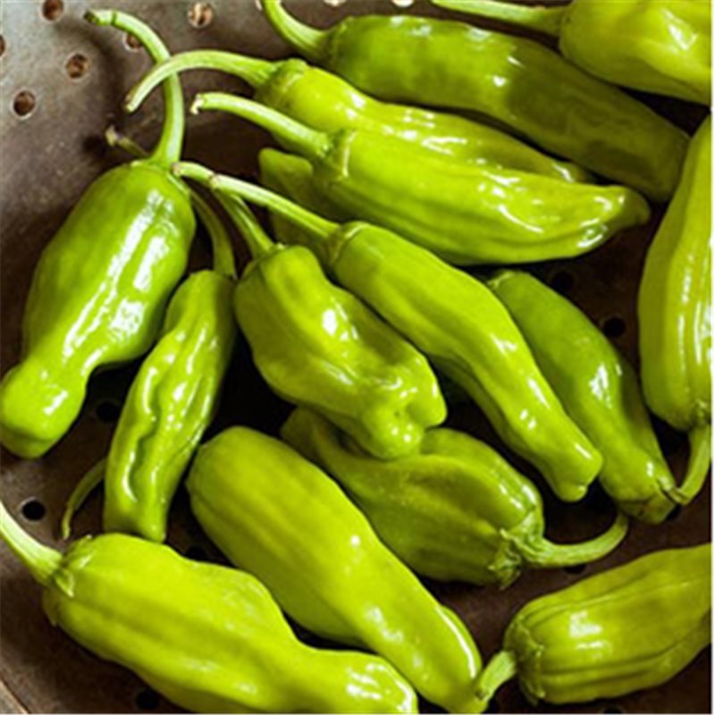 Pepperoncini Pepper - Team Grow