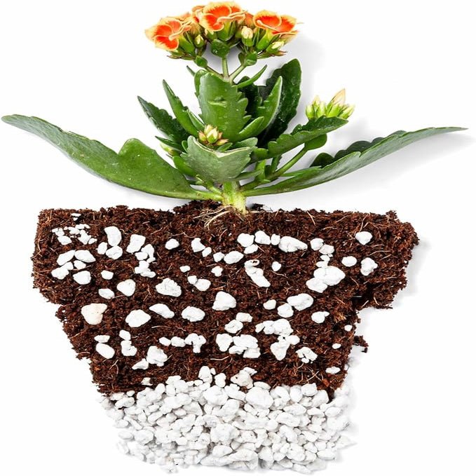Perlite Bliss Premium Horticultural Grade Perlite - Team Grow