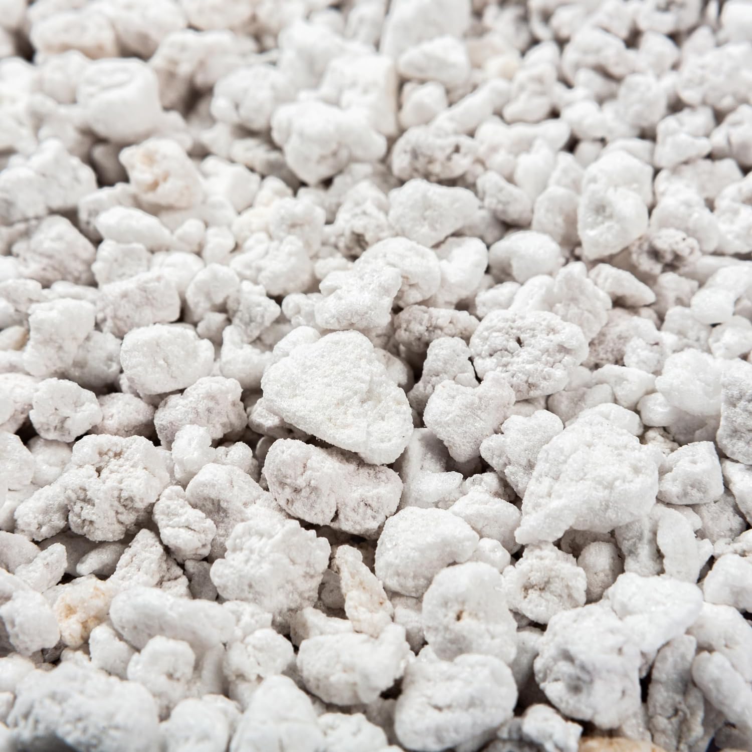 Perlite Bliss Premium Horticultural Grade Perlite