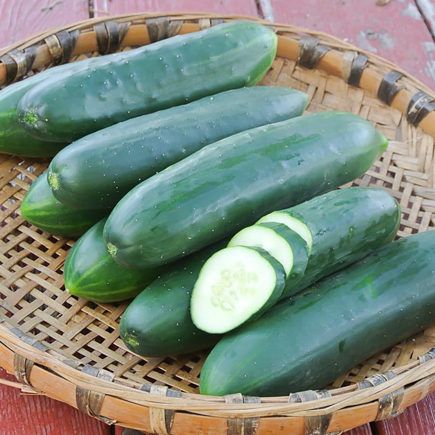 Poinsett 76 Cucumber - Team Grow