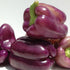 Purple Beauty Bell Pepper - Team Grow