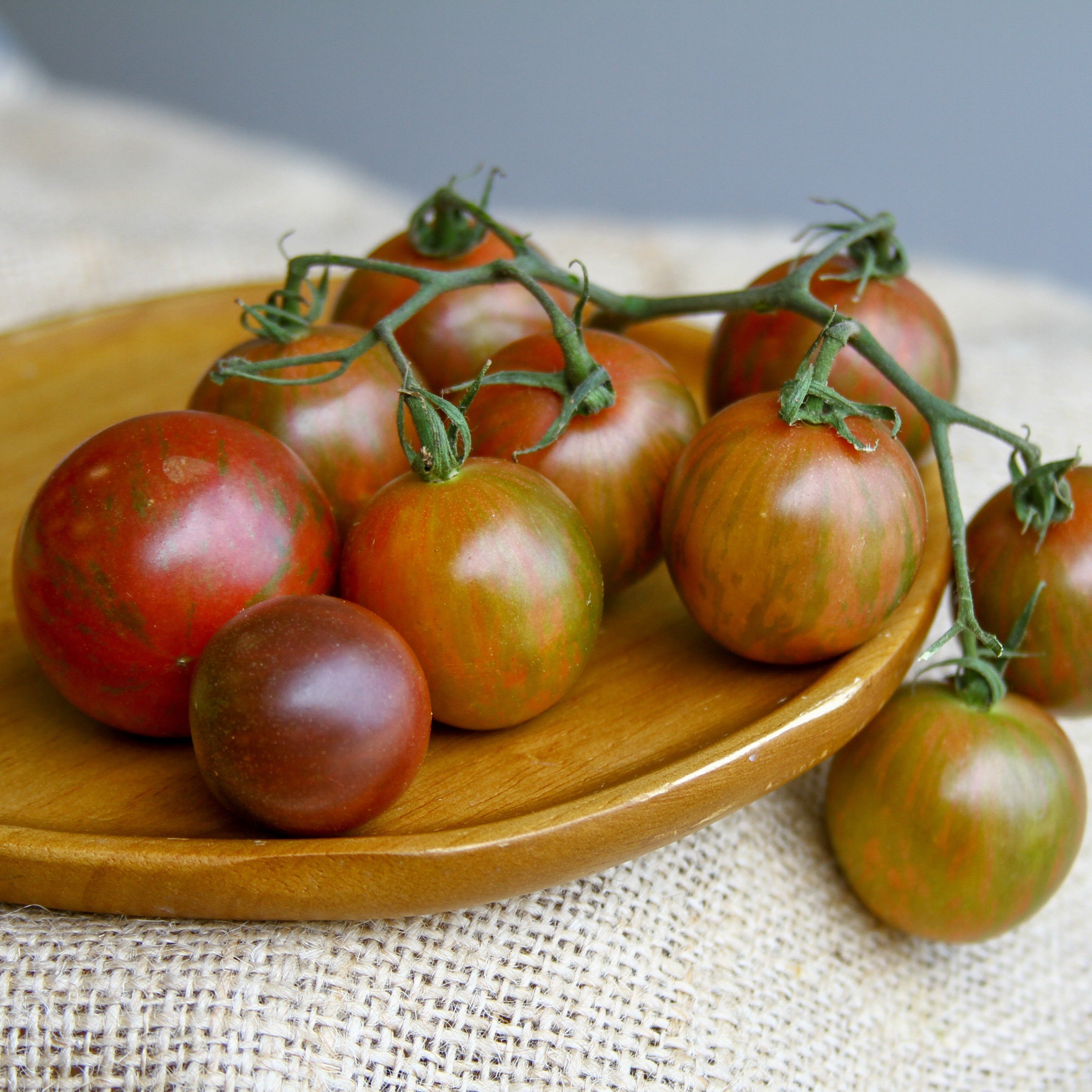 Purple Bumble Bee Tomato - Team Grow