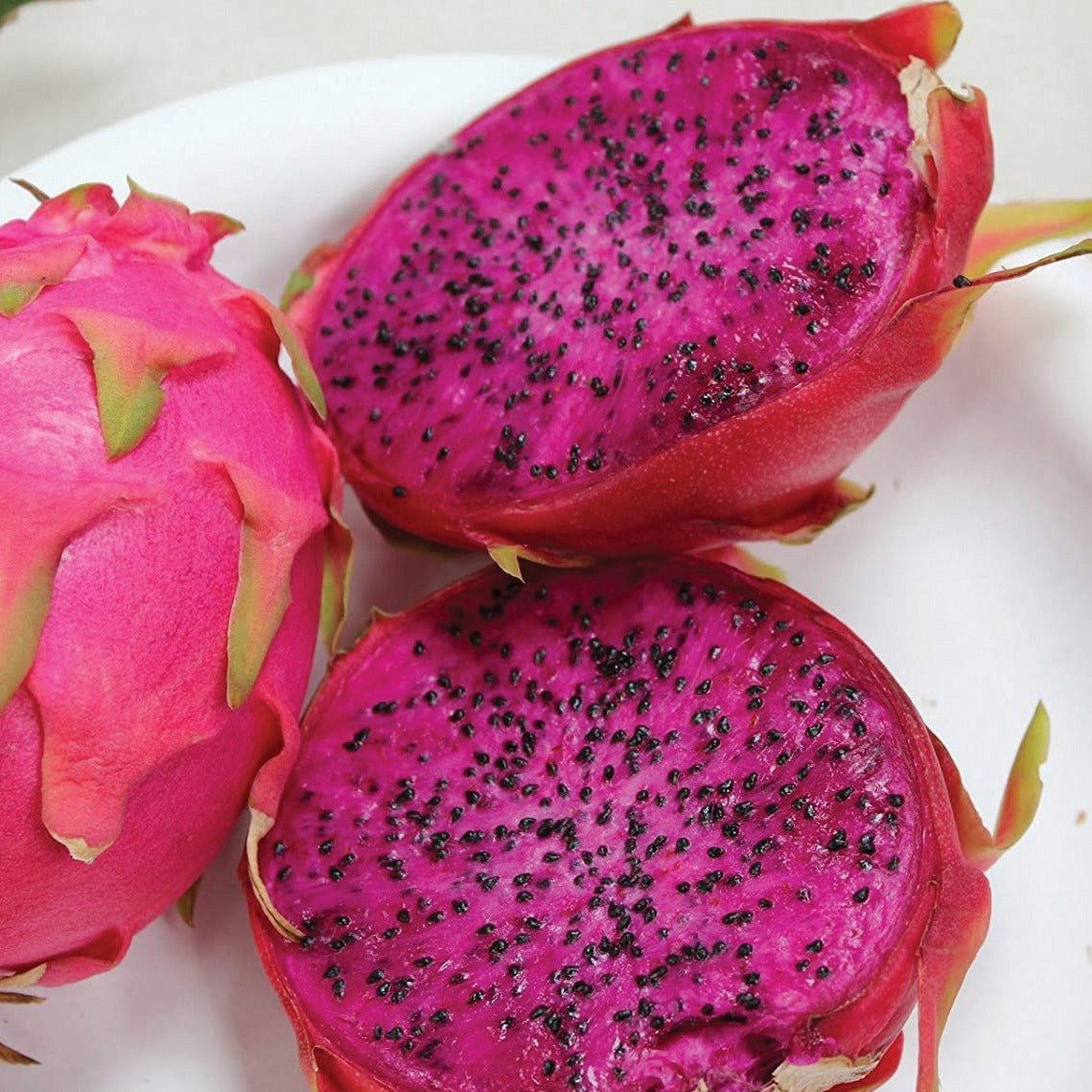 Purple Dragonfruit - Team Grow