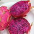 Purple Dragonfruit - Team Grow