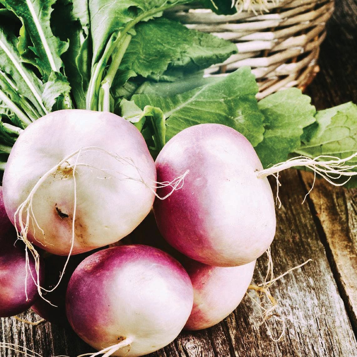 Purple White Globe Turnip - Team Grow