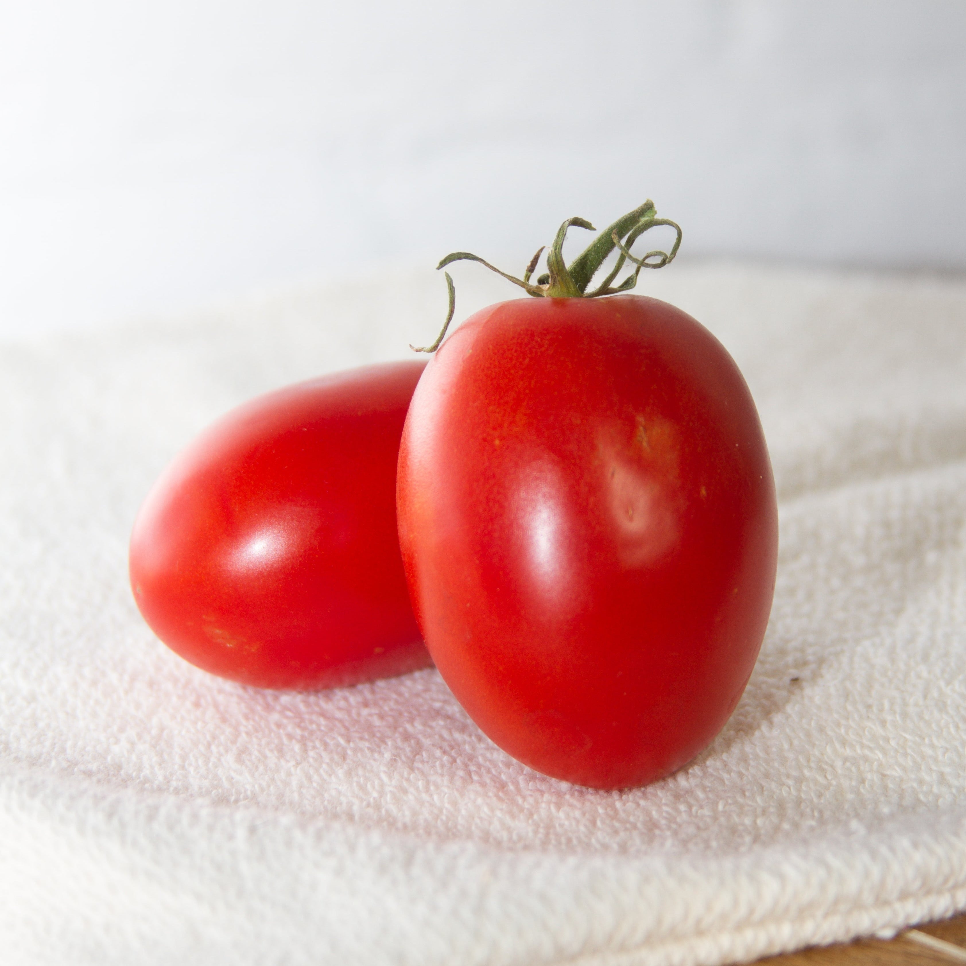 Quadro Tomato - Team Grow