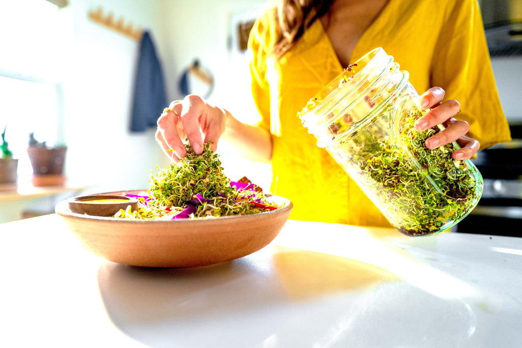 Starter kit: Broccoli High-Glucoraphanin 8oz & Sprout Book