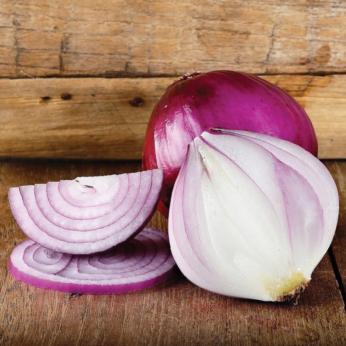 Red Burgundy Onion - Team Grow