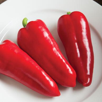Red Corno Di Toro Pepper - Team Grow