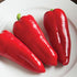Red Corno Di Toro Pepper - Team Grow