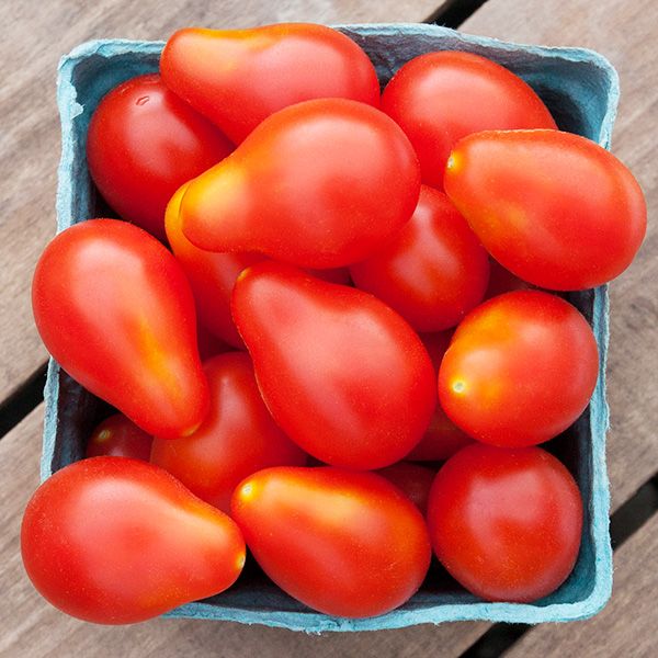 Red Pear Tomato - Team Grow