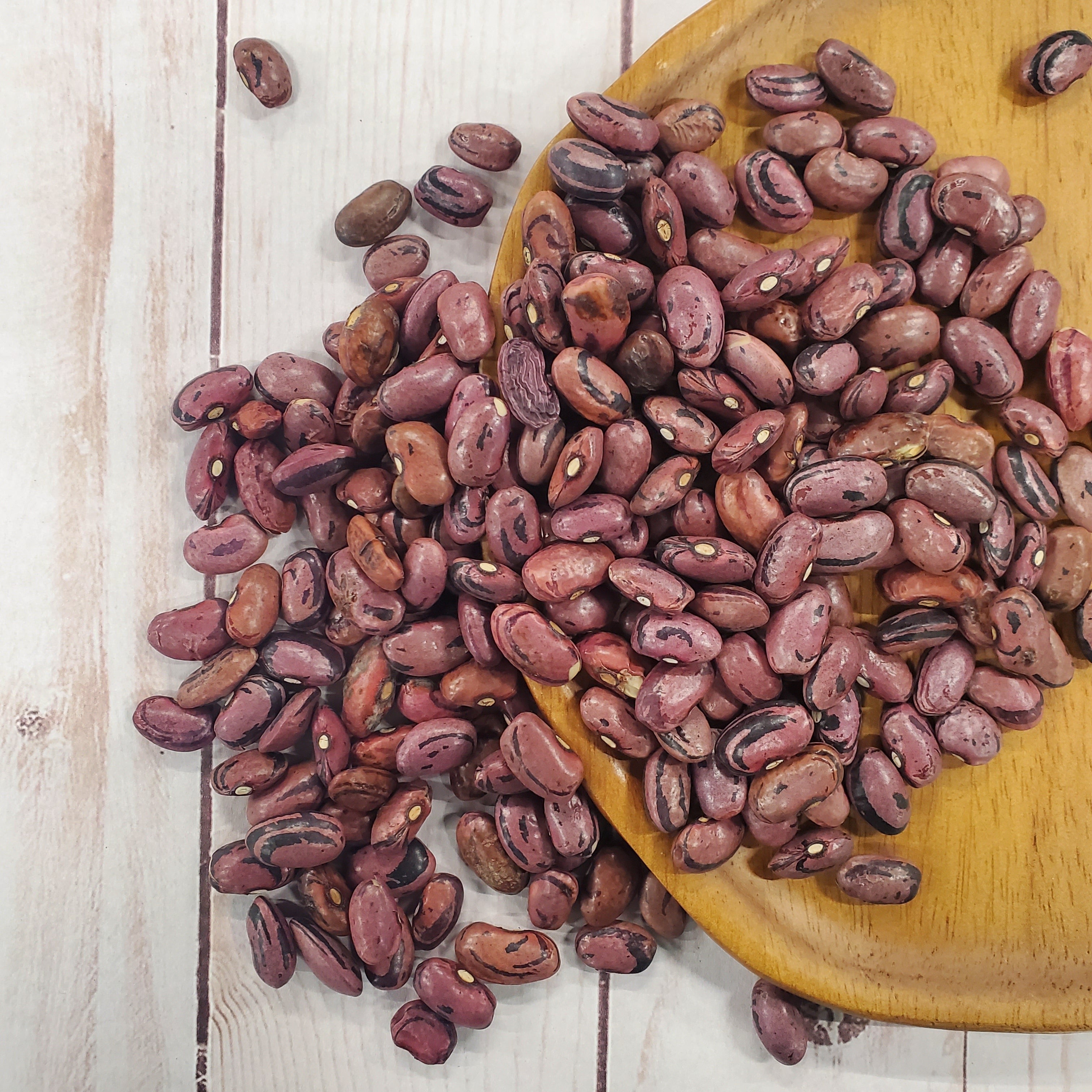 Rio Zape Bean (Bush - Semi Vining) - Team Grow