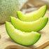 Rocky Ford Cantaloupe Melon - Team Grow