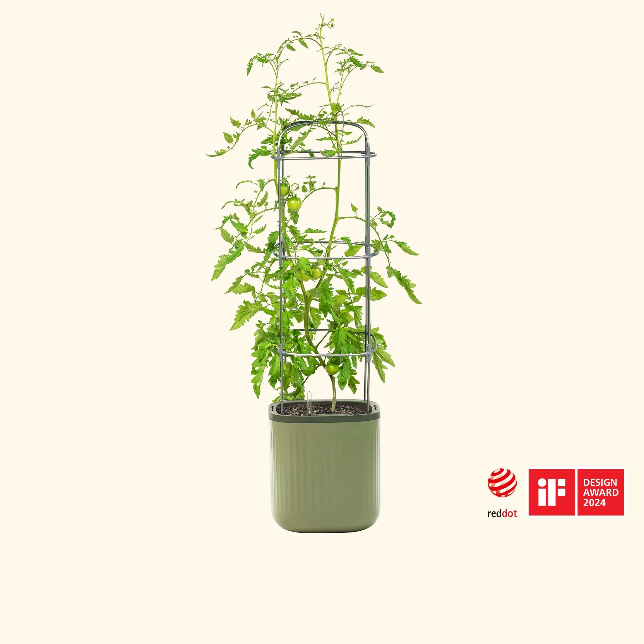 planter with trellis near me Vego Garden Self-Watering Tomato Planter with Trellis
