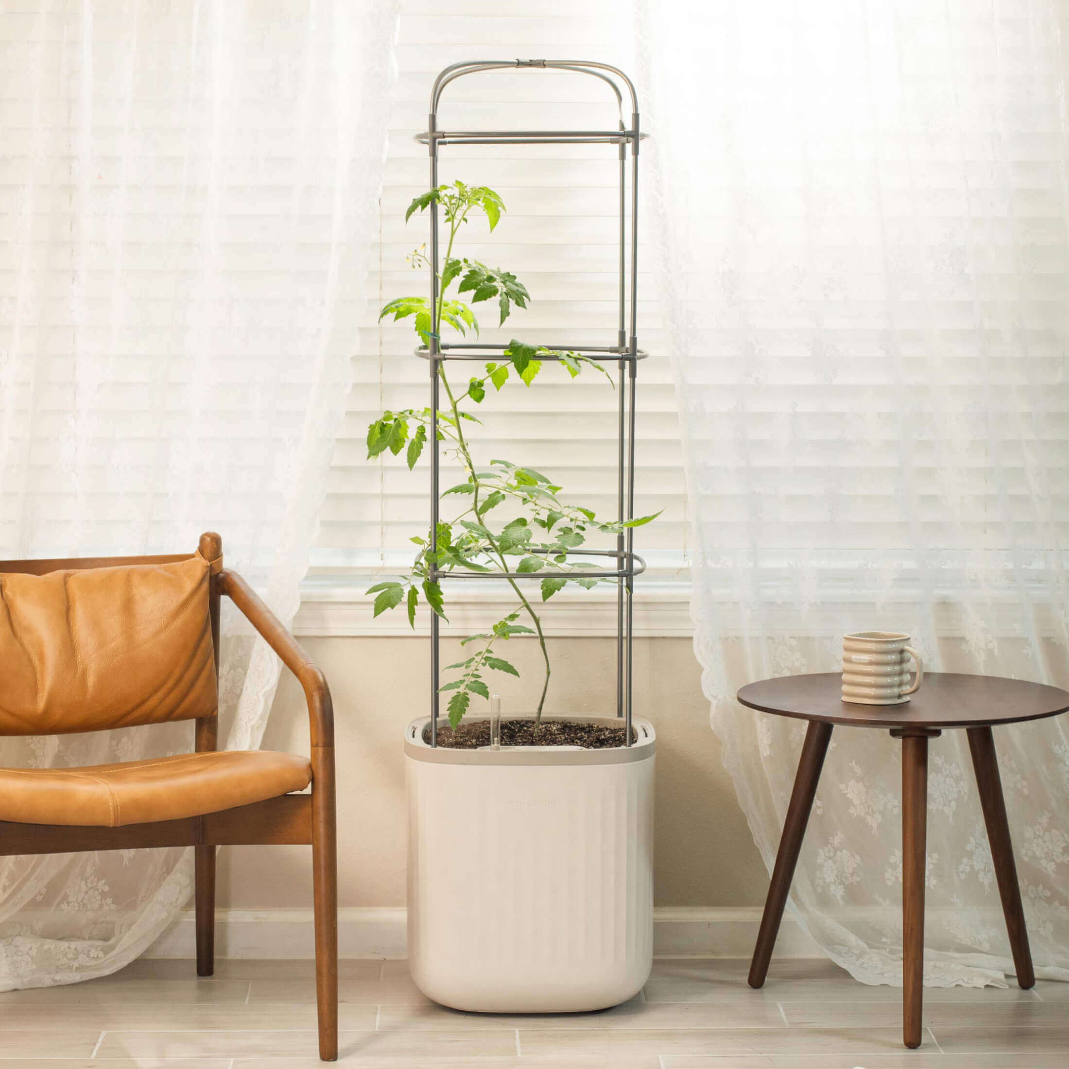 Rolling Self Watering Patio / Indoor Planter with Trellis - Team Grow