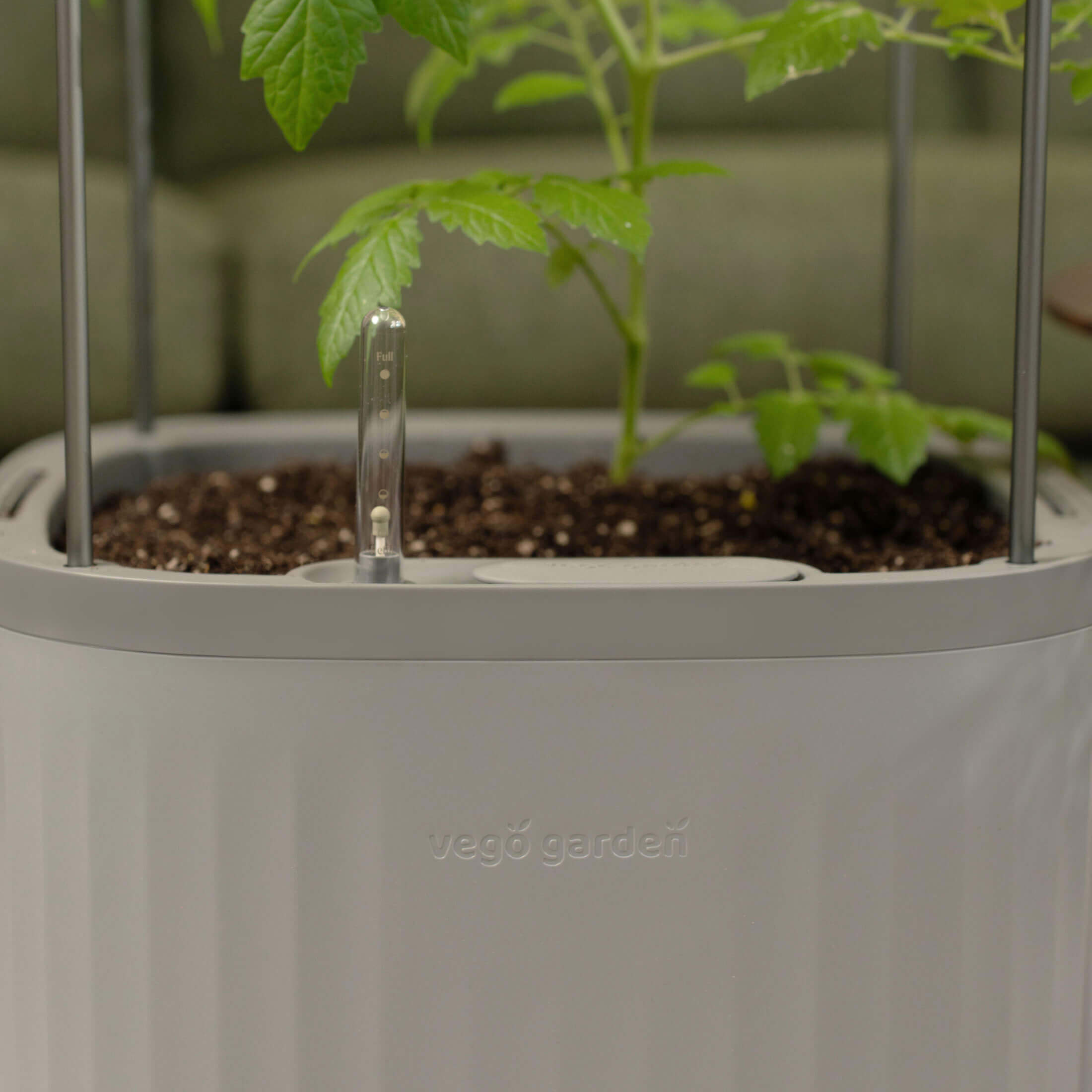 Rolling Self Watering Patio / Indoor Planter with Trellis - Team Grow