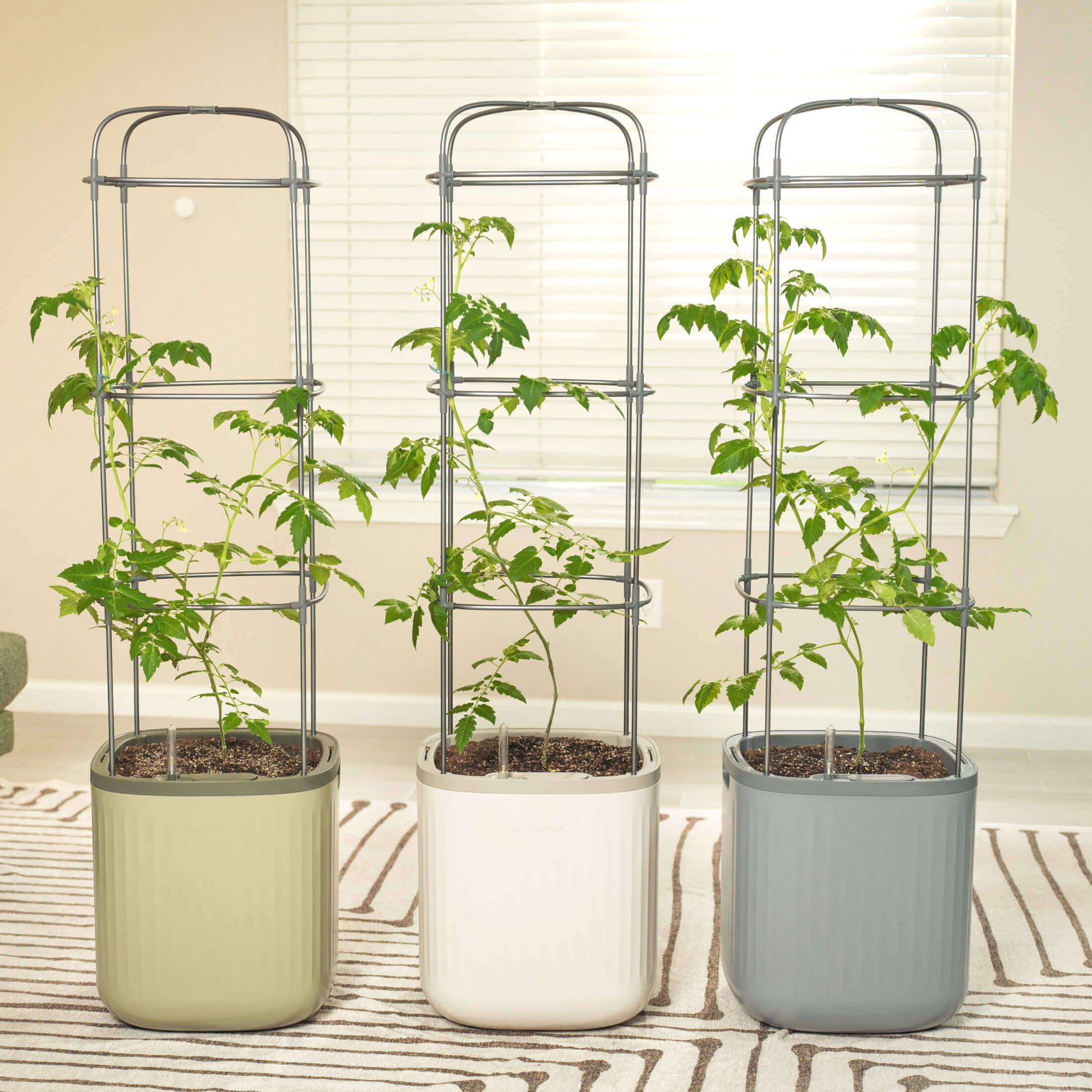 Rolling Self Watering Patio / Indoor Planter with Trellis - Team Grow