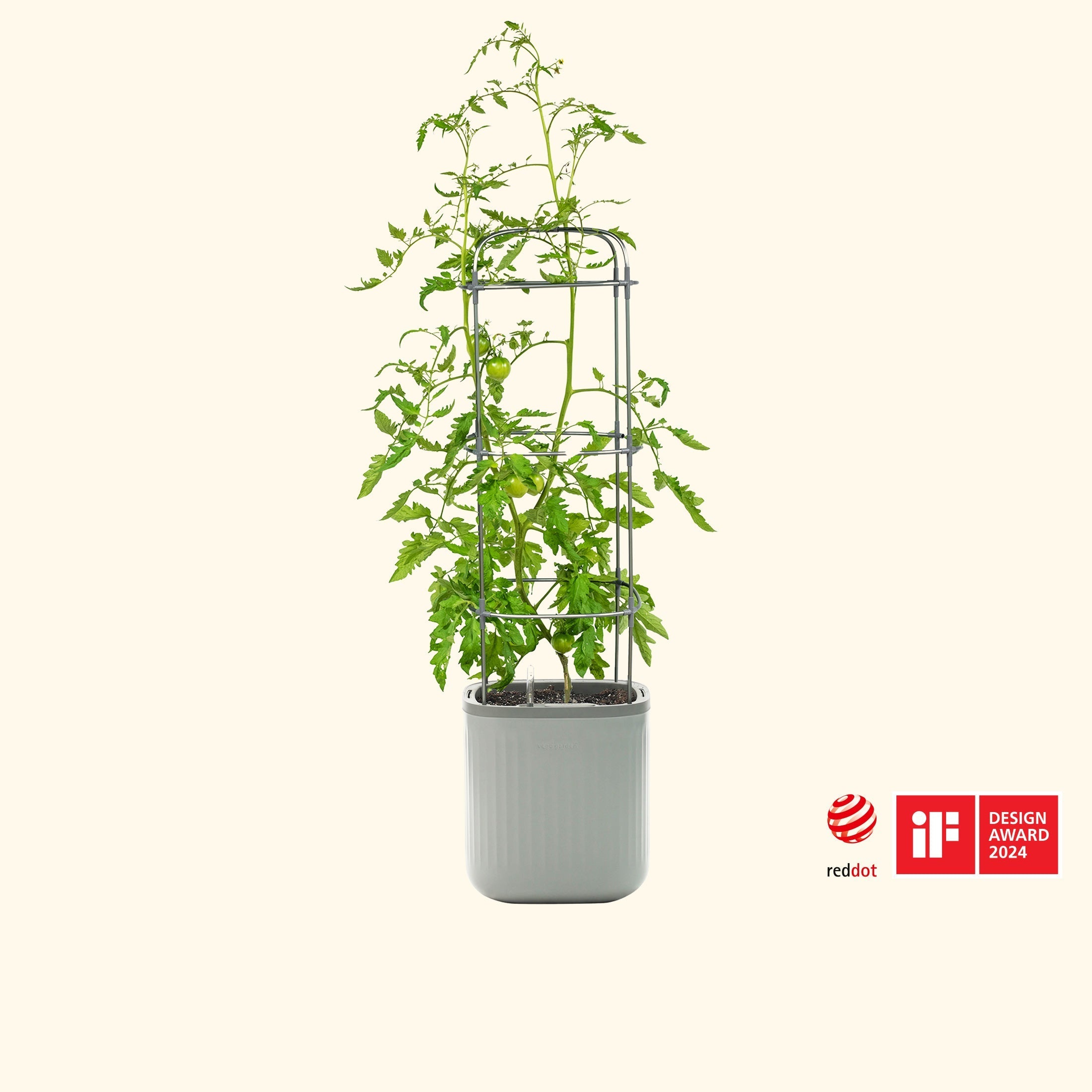 indoor trellis planter Vego Garden Self-Watering Tomato Planter with Trellis