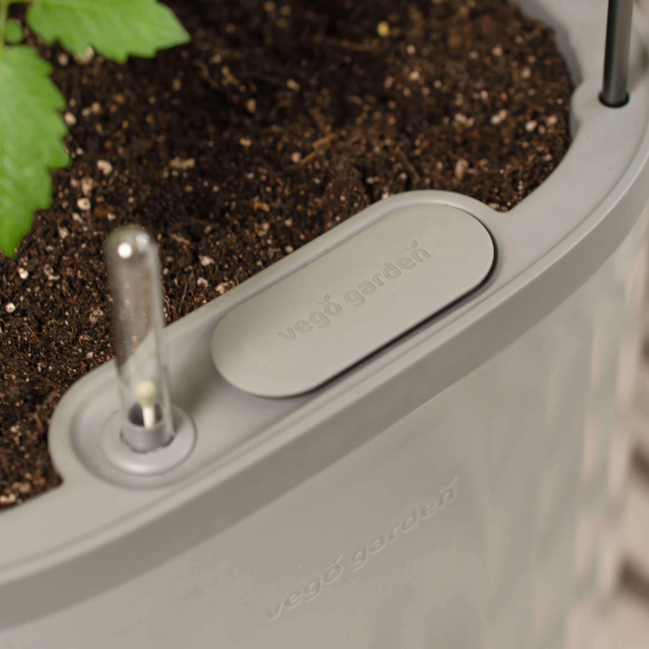 Rolling Self Watering Patio / Indoor Planter with Trellis - Team Grow