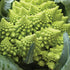 Romanesco Broccoli - Team Grow