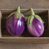 Rosa Bianca Eggplant - Team Grow