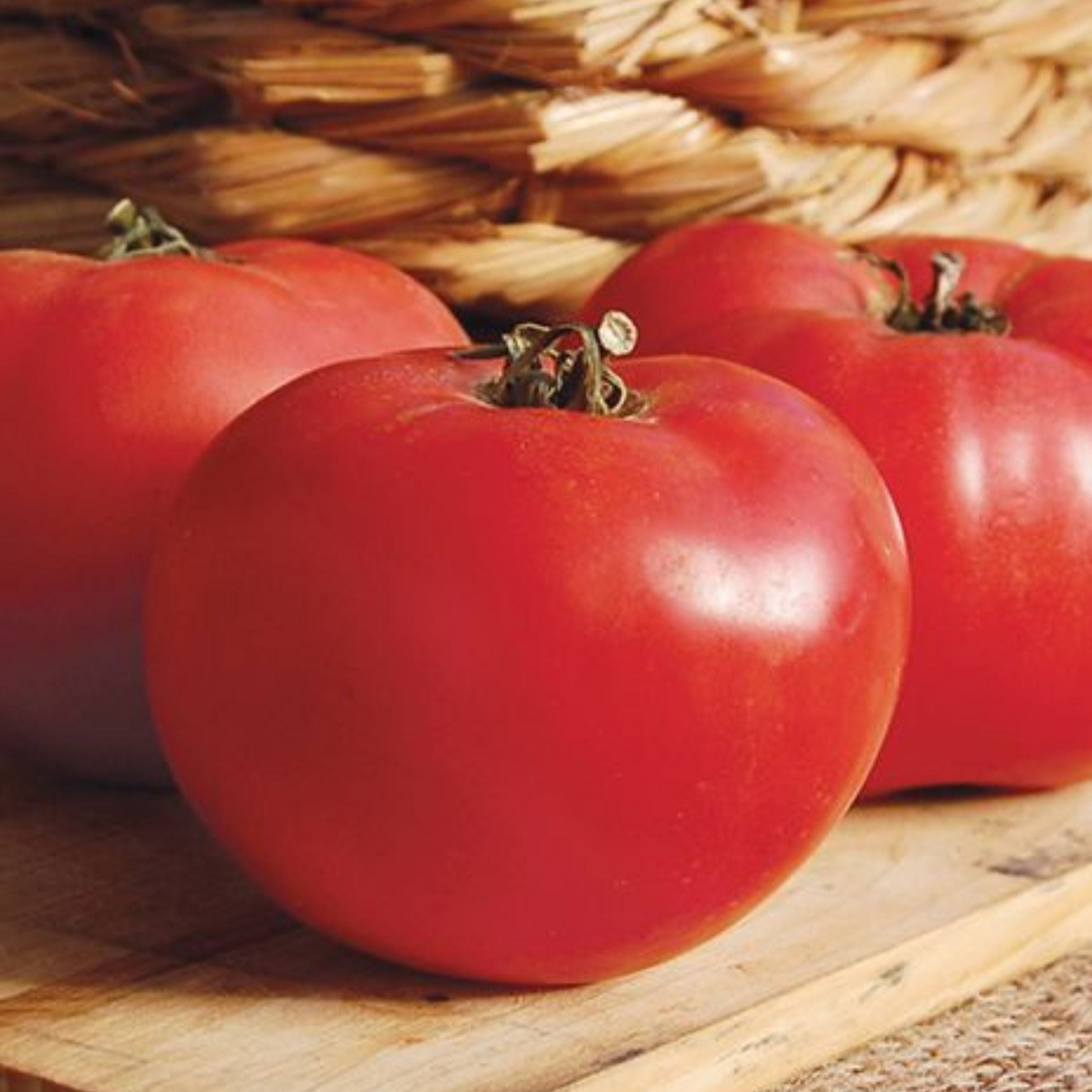 Rose De Berne Tomato - Team Grow