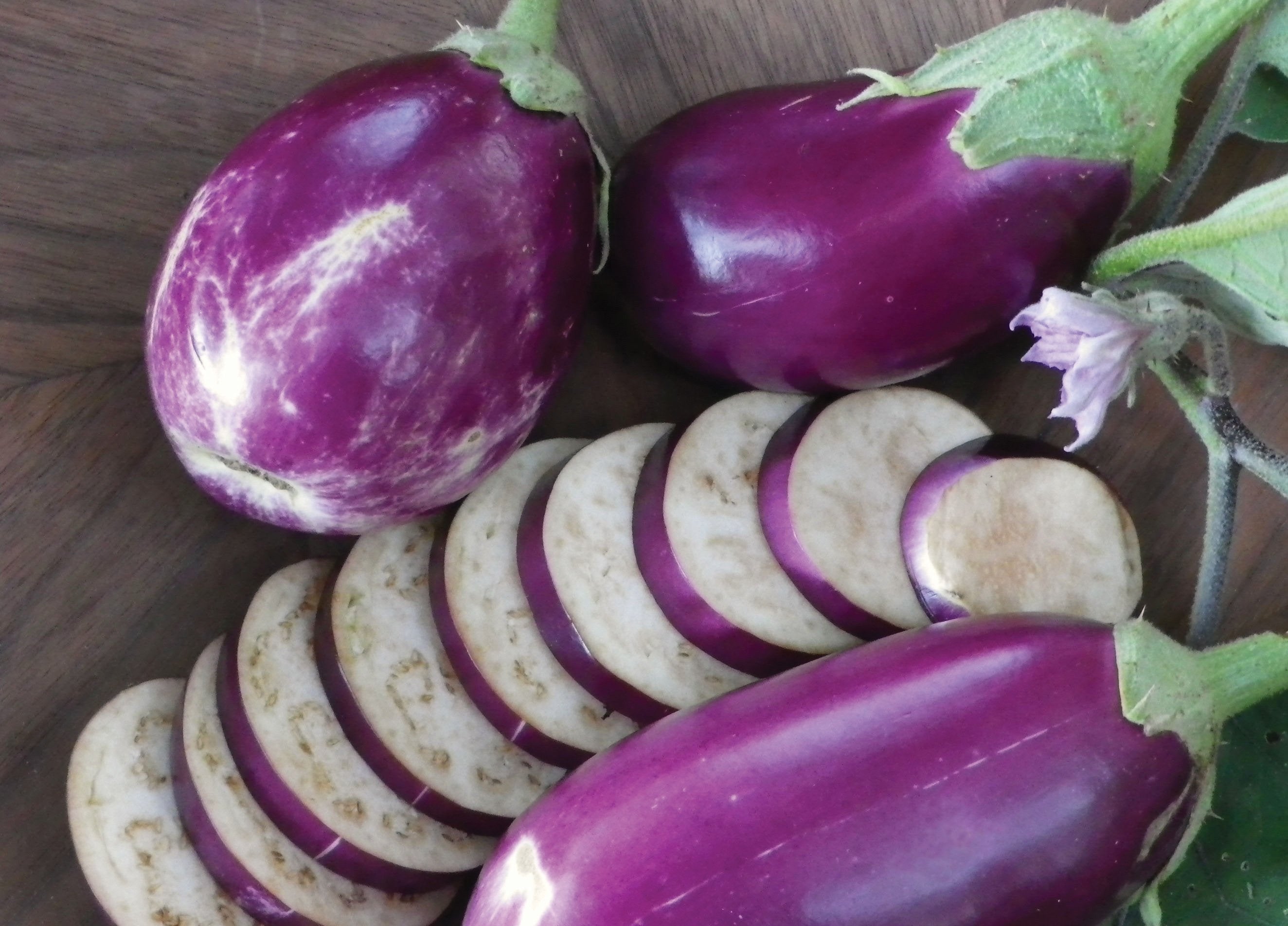Rosita Eggplant - Team Grow