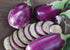 Rosita Eggplant - Team Grow