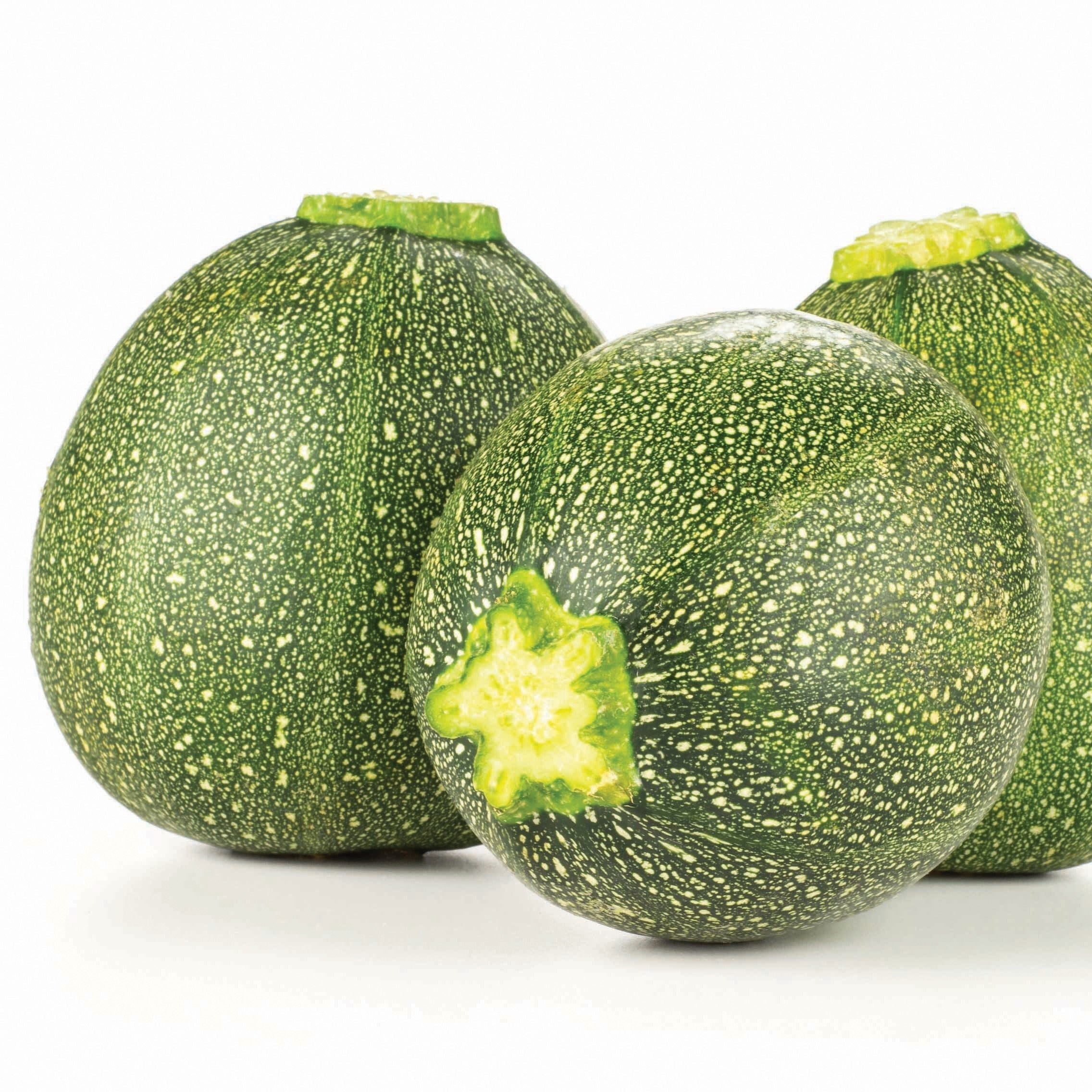 Round Zucchini - Team Grow