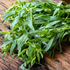 Russian Tarragon - Team Grow