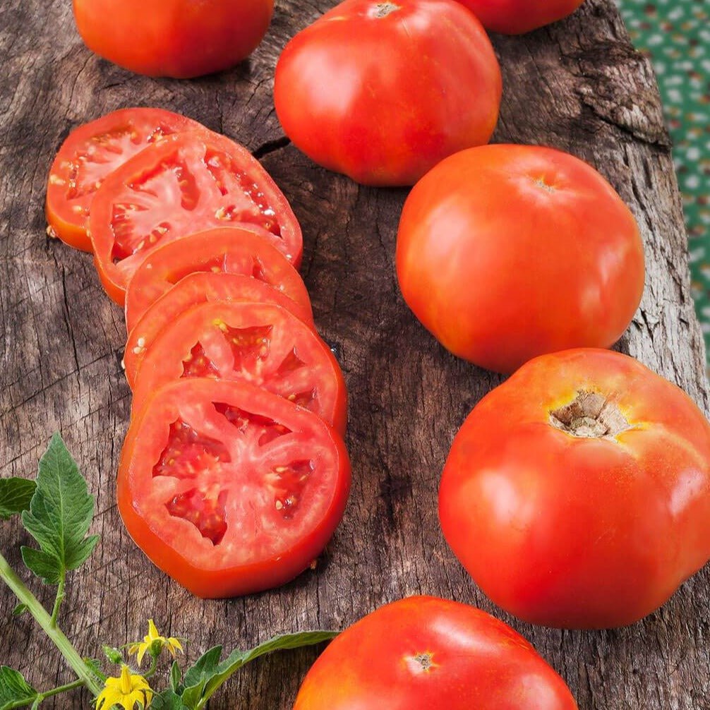 Rutgers Tomato - Team Grow