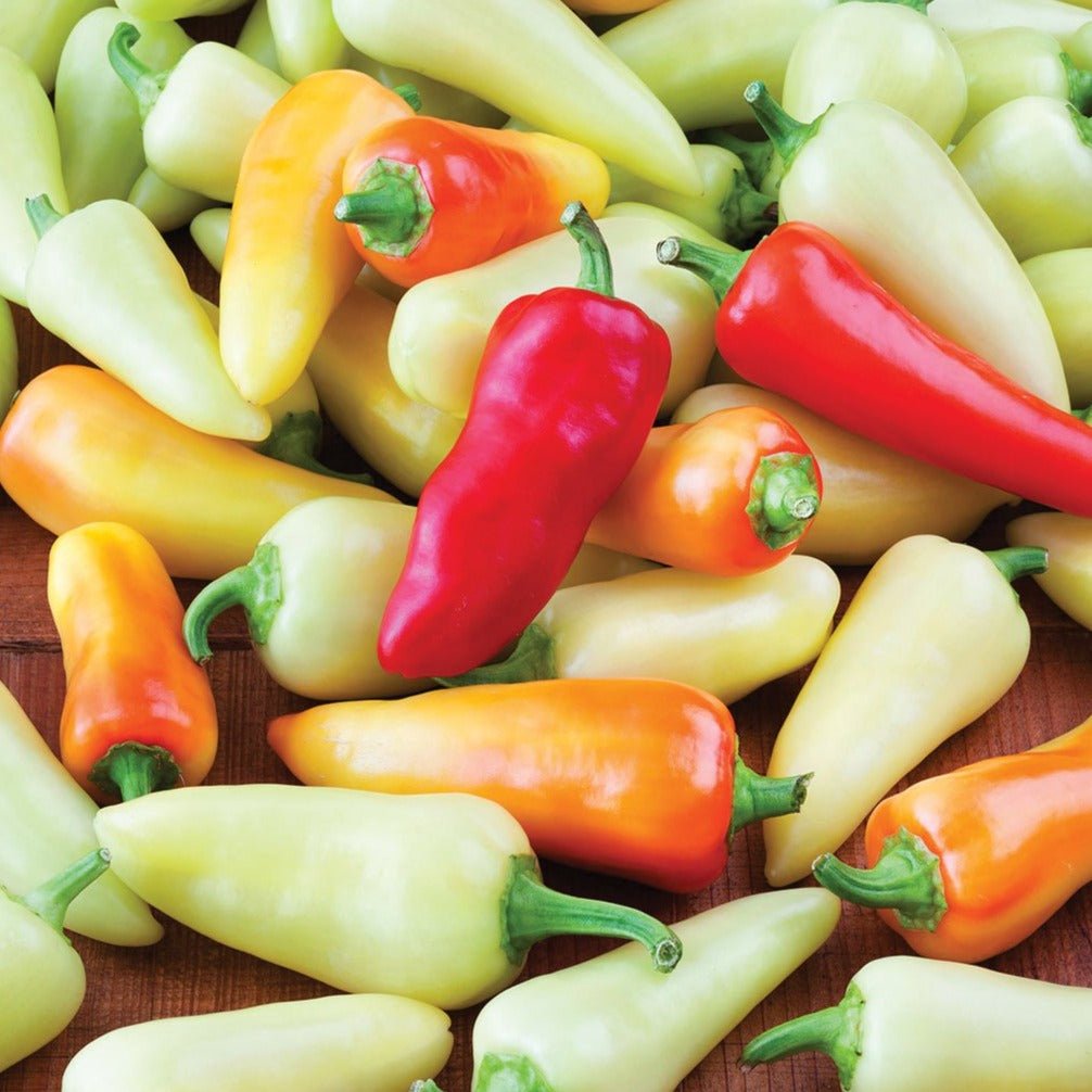 Santa Fe Grande Pepper - Team Grow