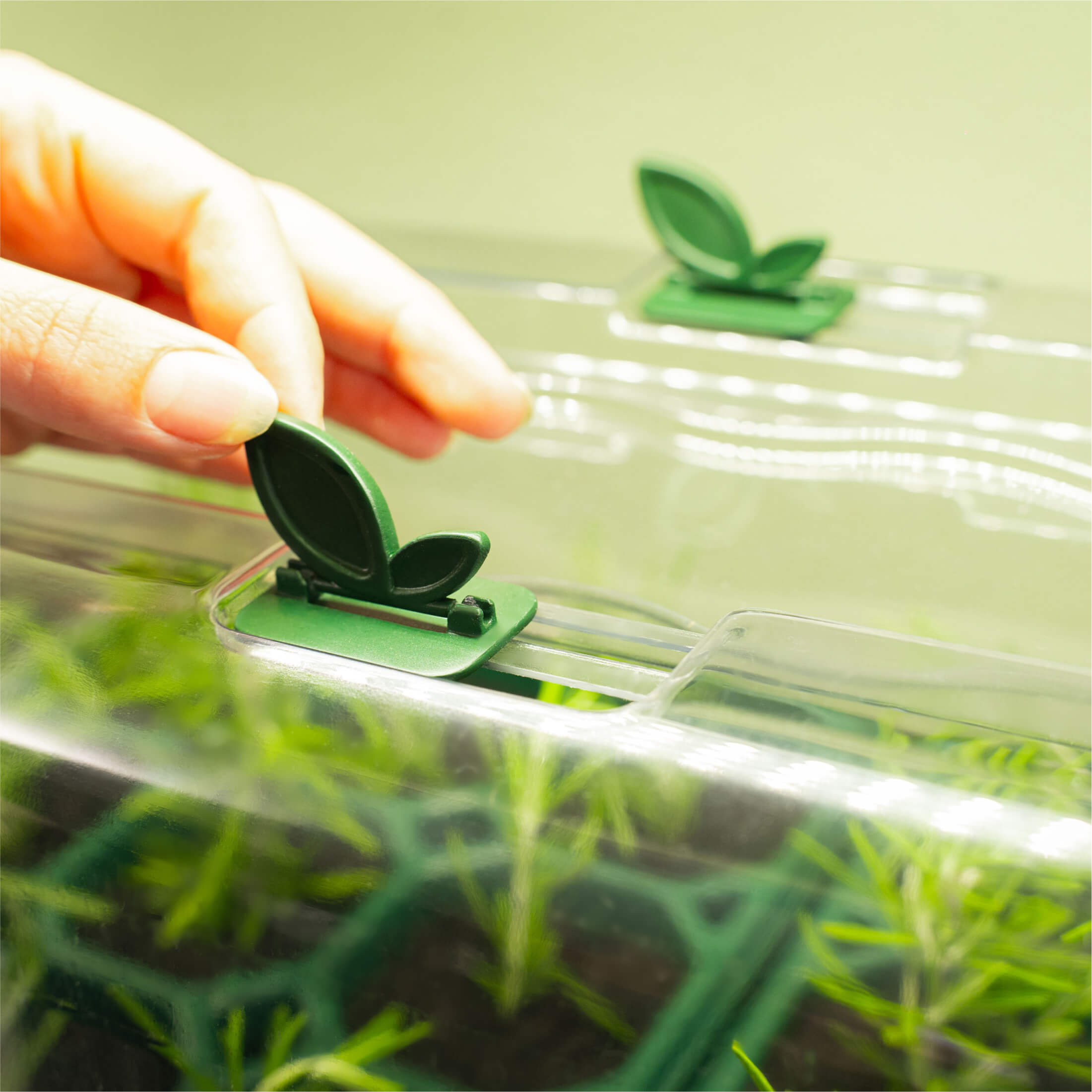 plastic dome for plants Seedling Humidity Dome