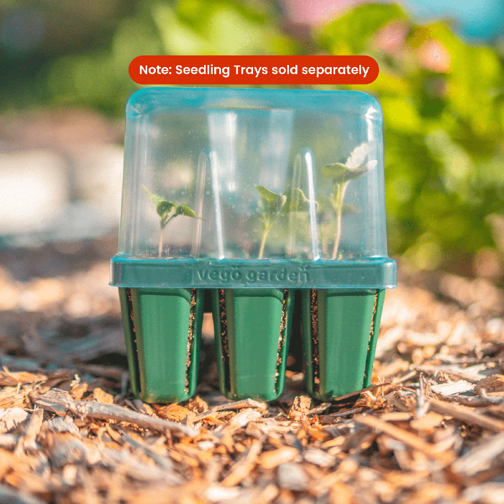 Seedling Tray Lids with Drip Irrigation - Team Grow