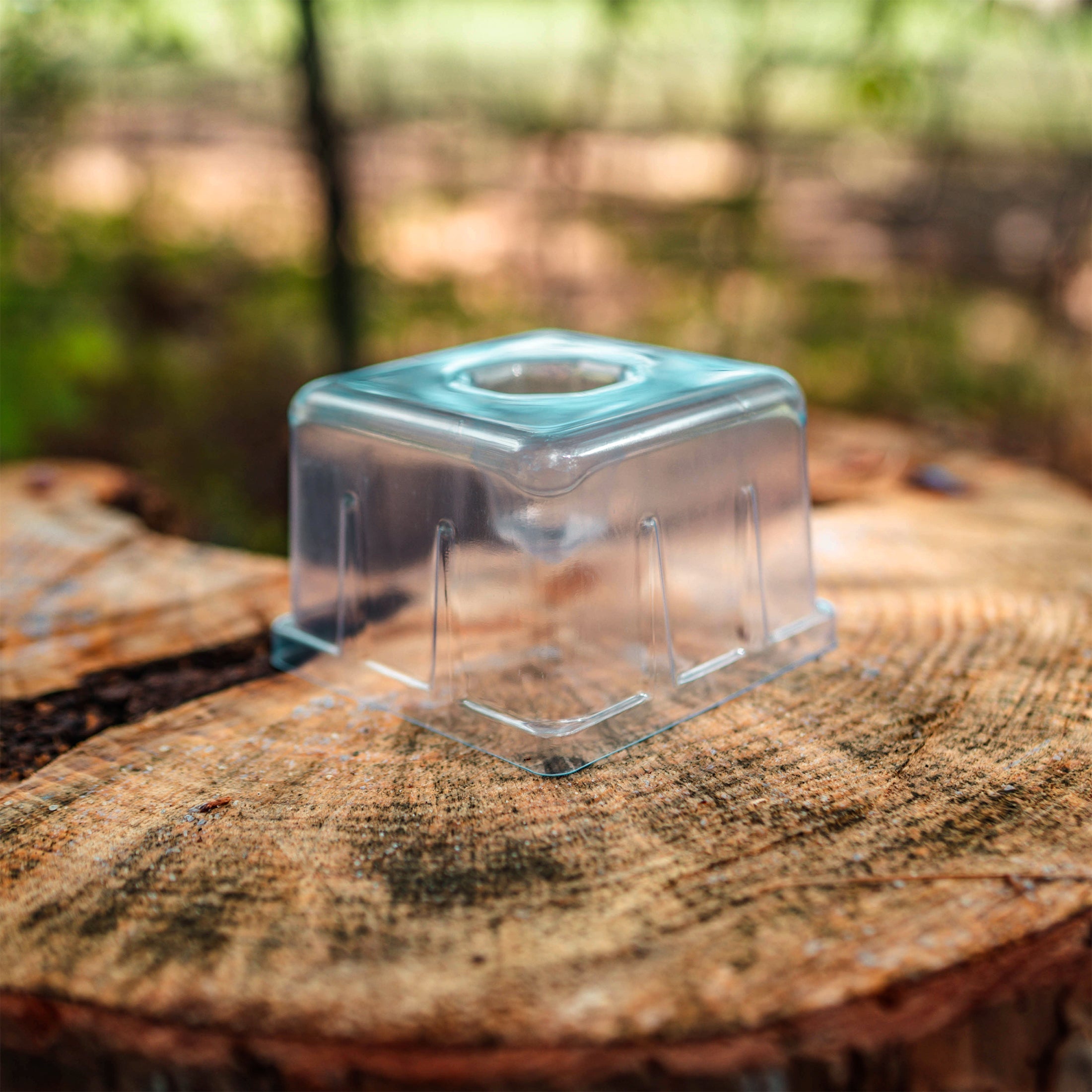 Seedling Tray Lids with Drip Irrigation - Team Grow