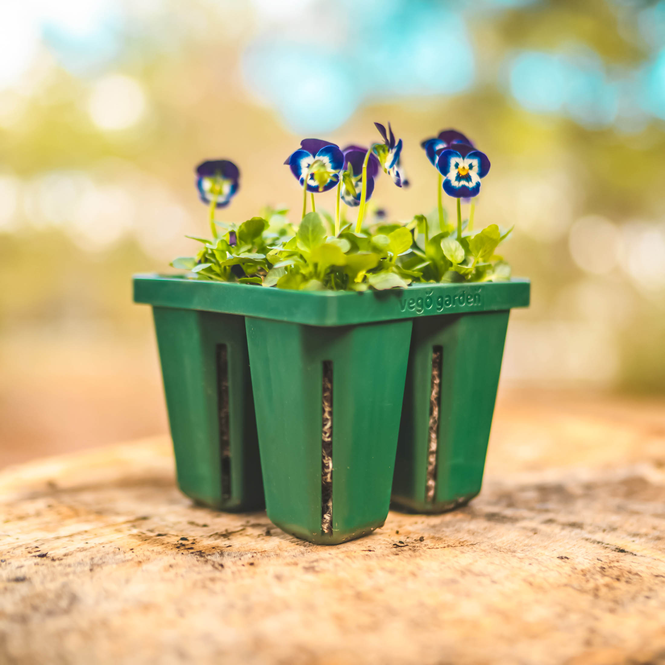 Jumbo Seedling Trays