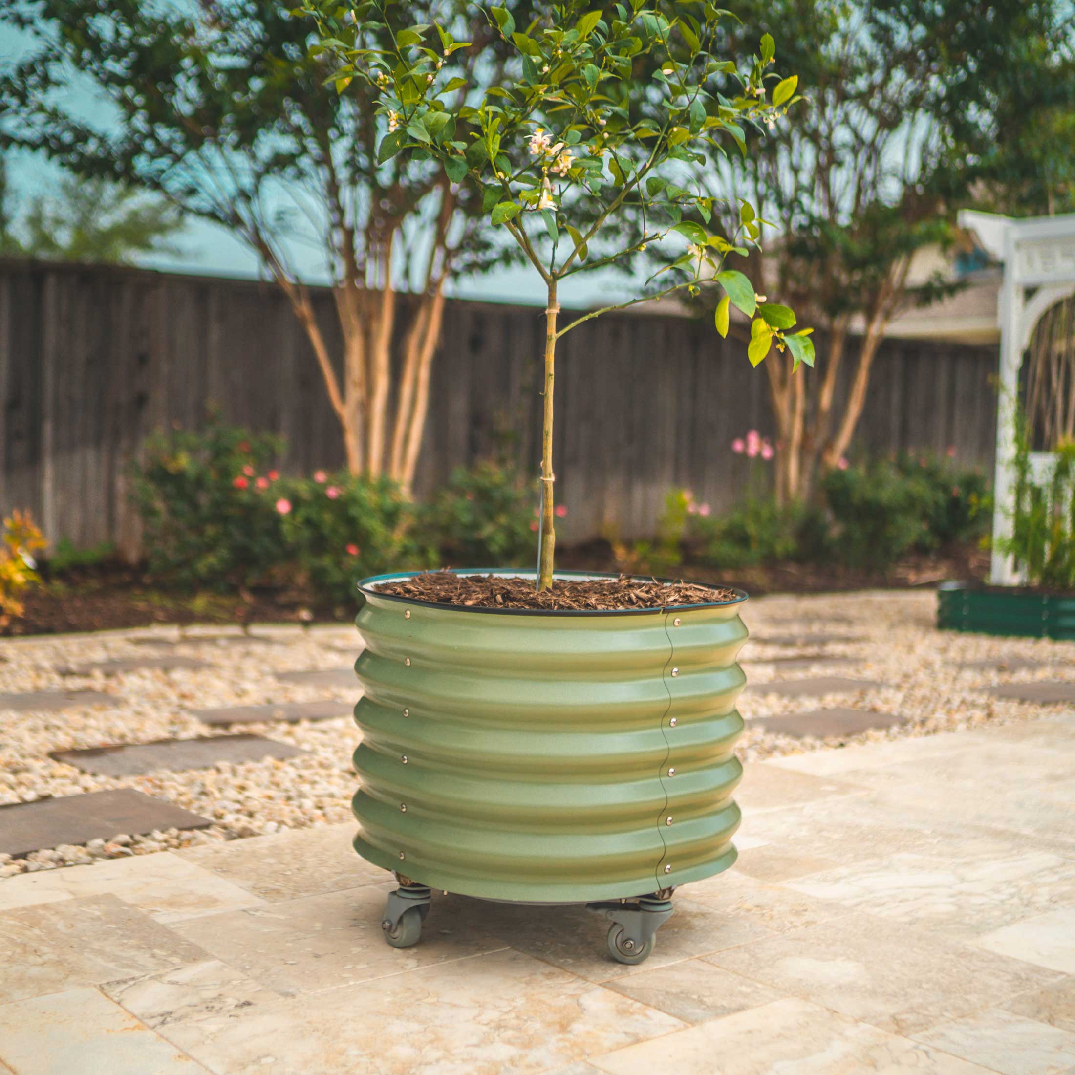 rolling self-watering tomato planter Self-Watering Rolling Planter Olive Green / Single Pack