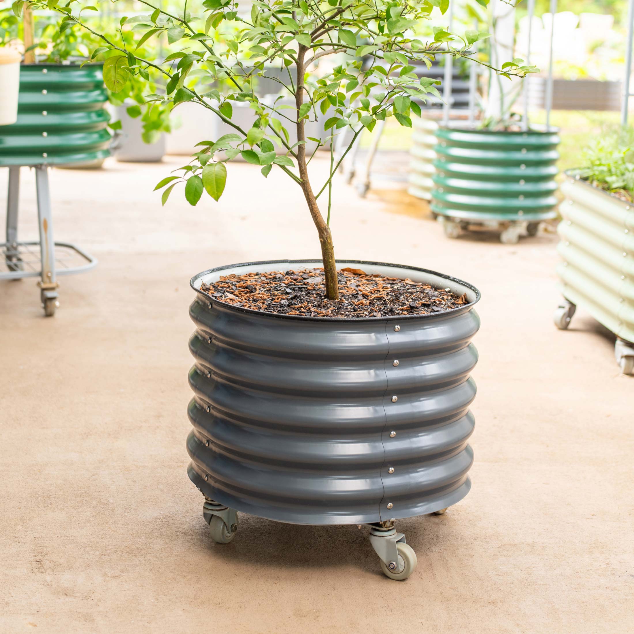 pennington self watering planter Self-Watering Rolling Planter Olive Green / Single Pack