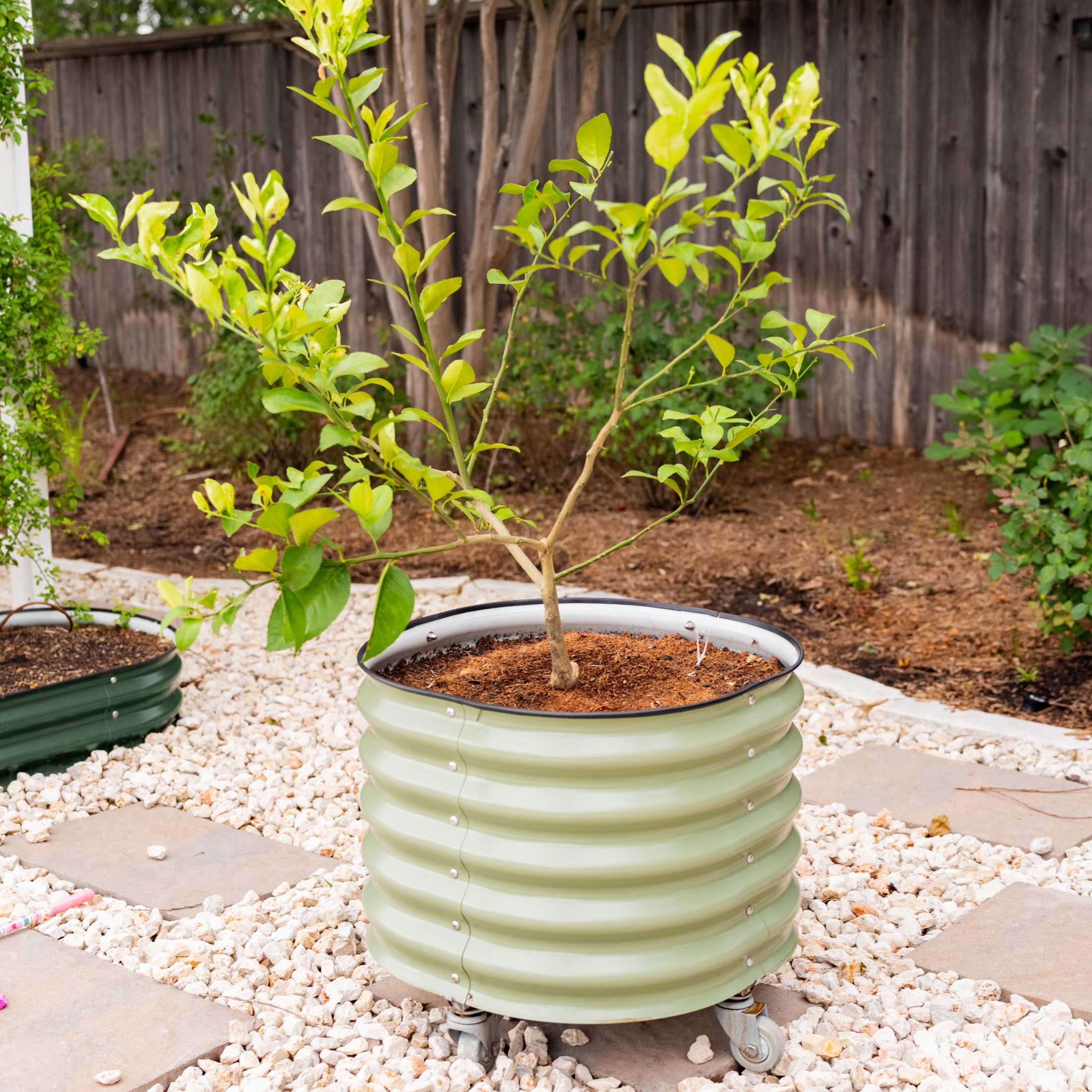 round self watering planter Self-Watering Rolling Planter Olive Green / Single Pack
