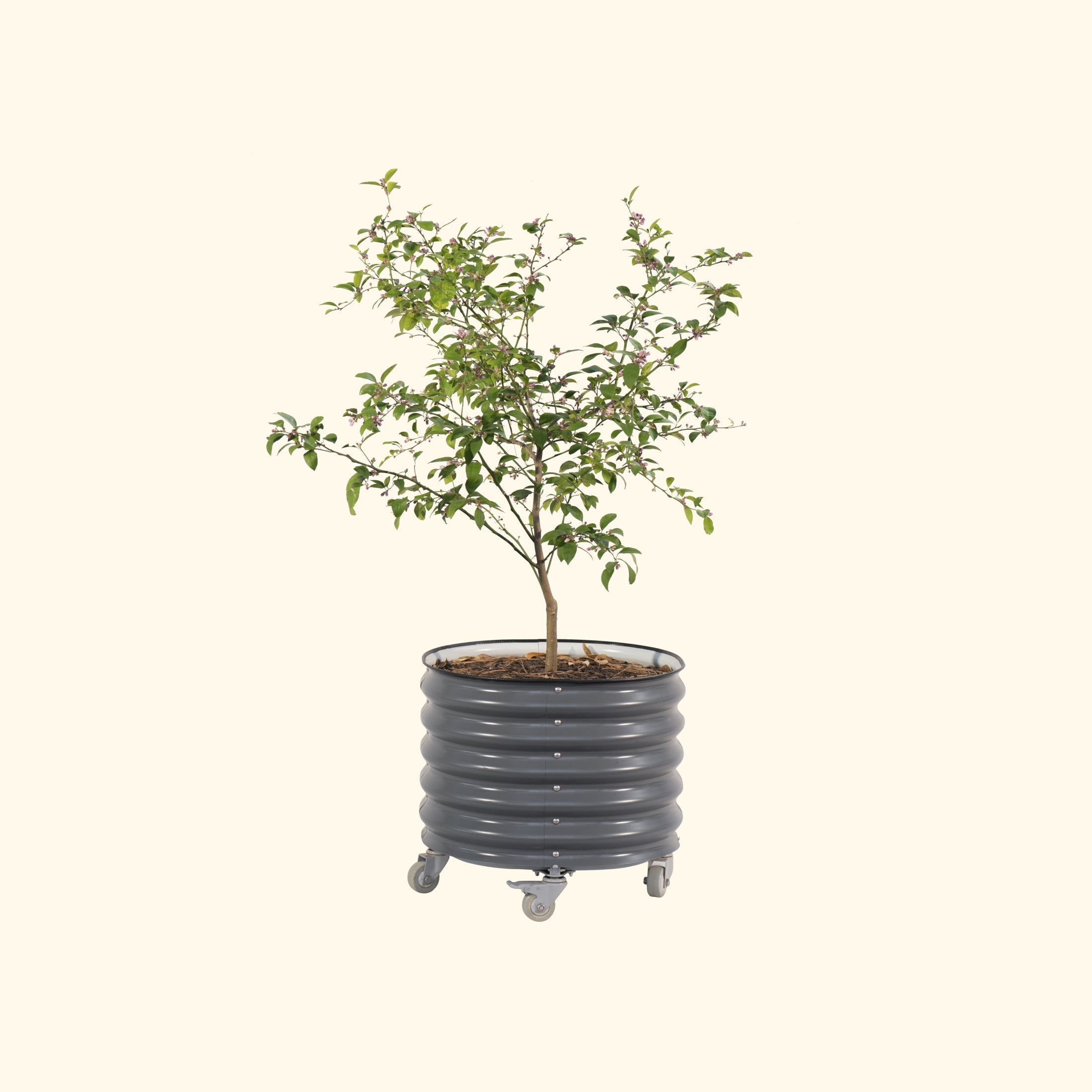rolling self-watering tomato planter and rust-resistant tower Self-Watering Rolling Planter Olive Green / Single Pack