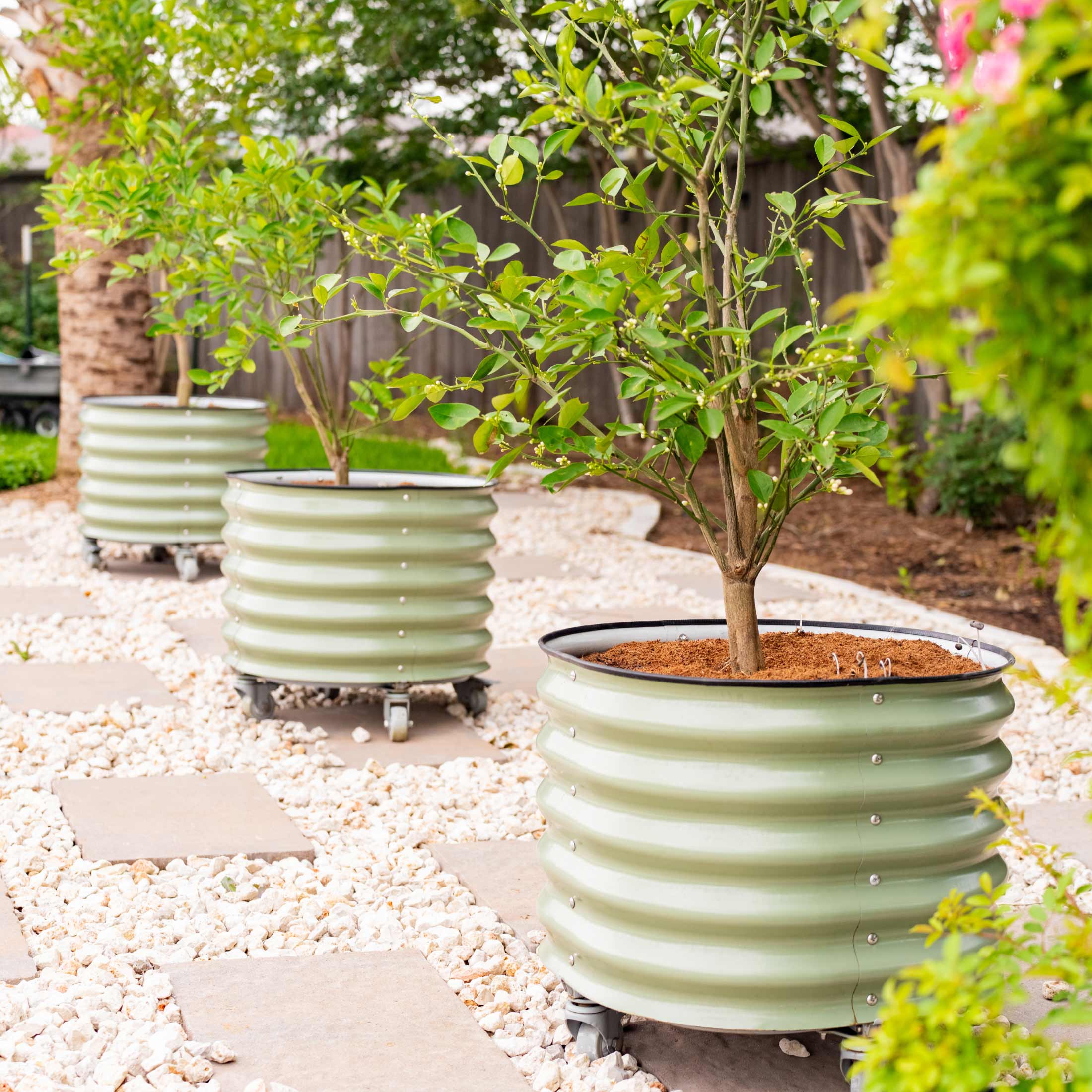concrete self watering planter Self-Watering Rolling Planter Olive Green / Single Pack