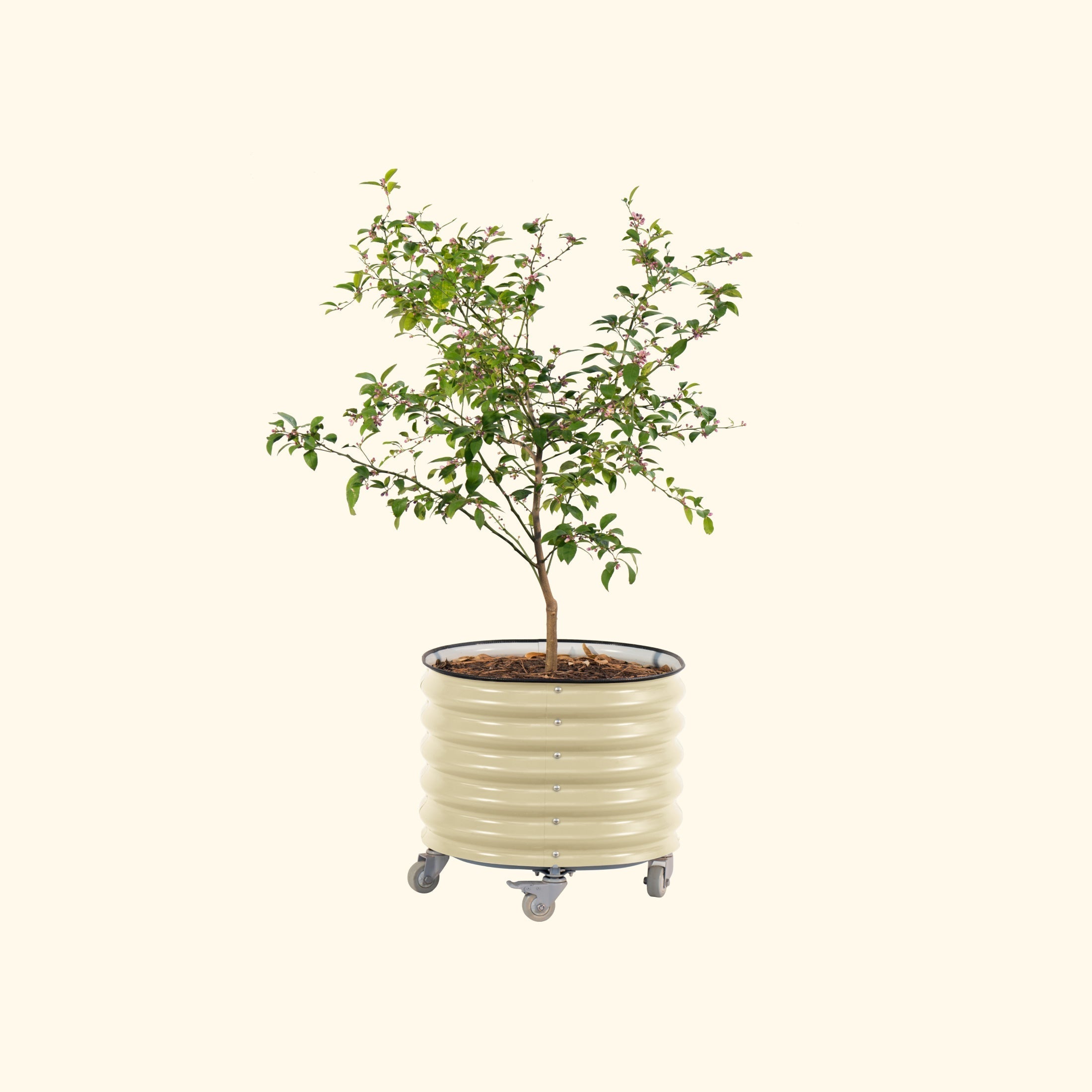self watering plant stand Self-Watering Rolling Planter Olive Green / Single Pack