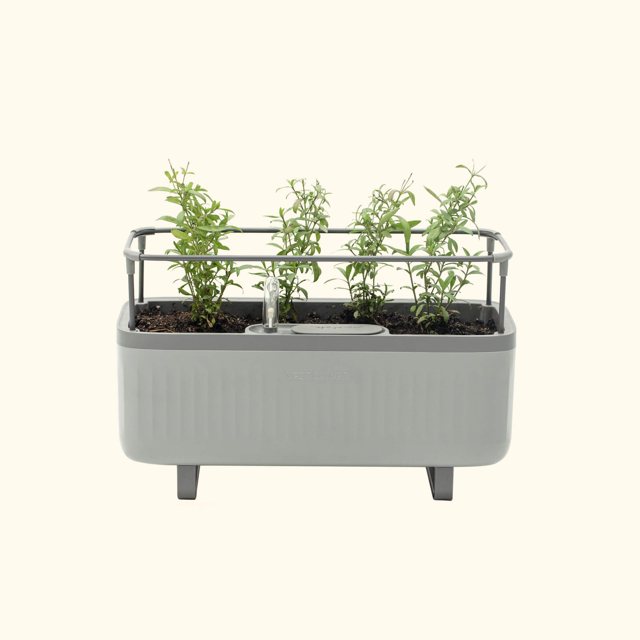 Self - Watering Herb Planter Box with Trellis - Team Grow