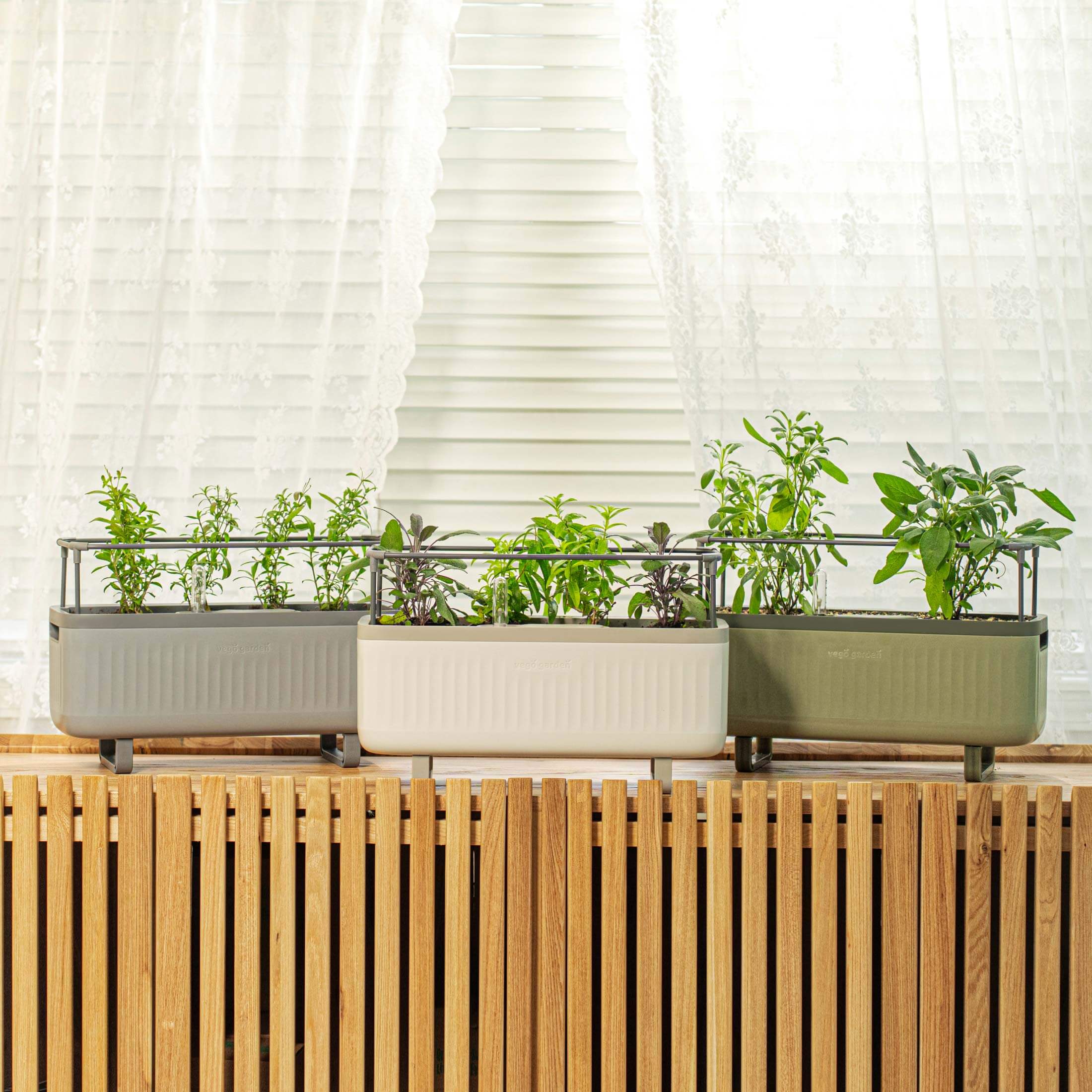 Self - Watering Herb Planter Box with Trellis - Team Grow